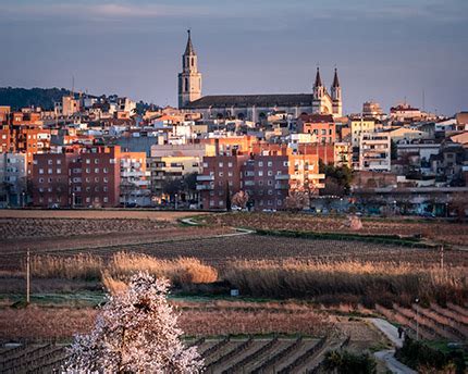 dhl vilafranca|DHL Vilafranca del Penedés